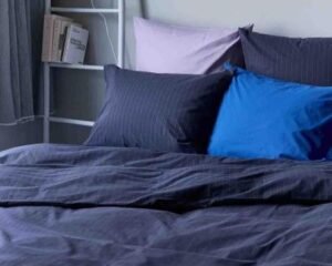 imgi_60_phototheque-web-2961069000_PS3